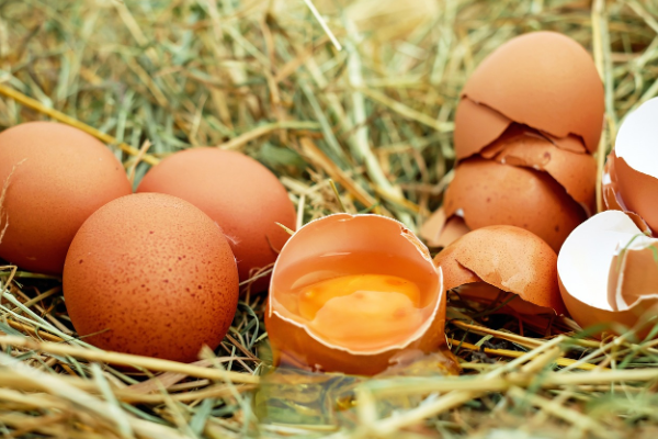 TÜİK-Tavuk yumurtası üretimi Mart’ta yıllık yüzde 3,6 artışla 1,79 milyar adete yükseldi